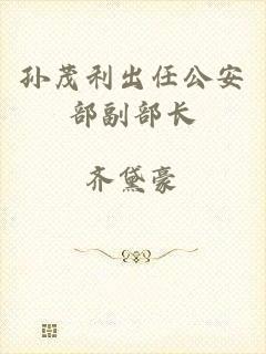 孙茂利出任公安部副部长