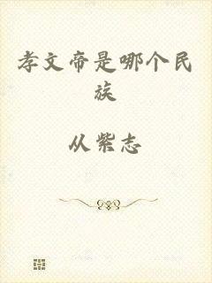 孝文帝是哪个民族