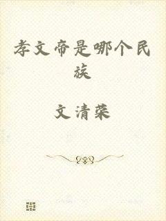 孝文帝是哪个民族
