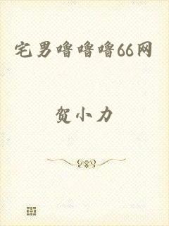 宅男噜噜噜66网