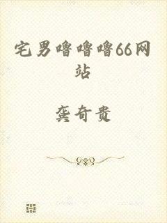 宅男噜噜噜66网站