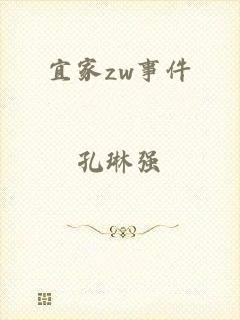 宜家zw事件