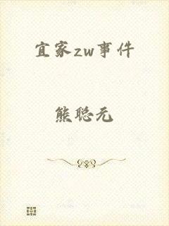 宜家zw事件