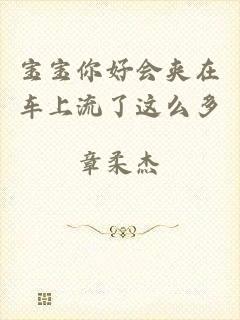 宝宝你好会夹在车上流了这么多