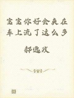 宝宝你好会夹在车上流了这么多