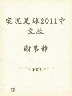 实况足球2011中文版