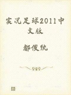 实况足球2011中文版