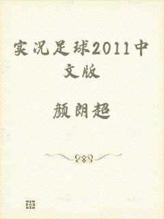 实况足球2011中文版