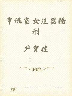 审讯室女殖器酷刑