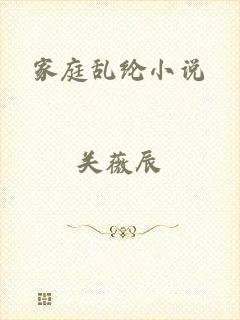 家庭乱纶小说