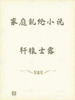 家庭乱纶小说