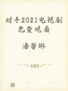 对手2021电视剧免费观看