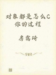 对象都是怎么C你的过程