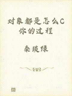 对象都是怎么C你的过程