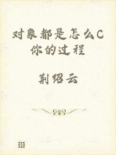 对象都是怎么C你的过程