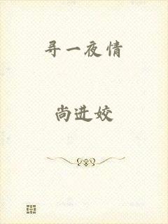 寻一夜情