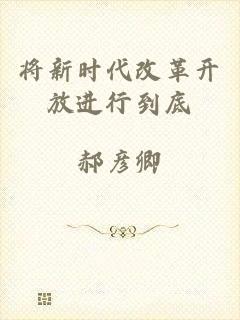 将新时代改革开放进行到底