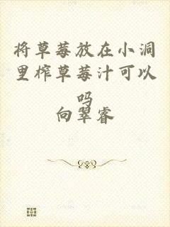 将草莓放在小洞里榨草莓汁可以吗