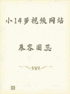 小14萝视频网站