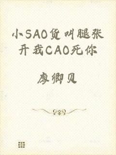 小SAO货叫腿张开我CAO死你