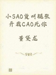 小SAO货叫腿张开我CAO死你
