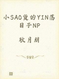 小SAO货的YIN荡日子NP