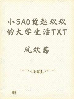 小SAO货赵欢欢的大学生活TXT