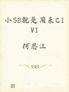 小SB就是用来C1V1
