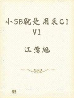 小SB就是用来C1V1