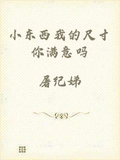 小东西我的尺寸你满意吗