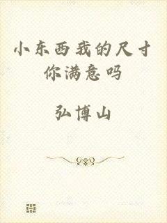 小东西我的尺寸你满意吗