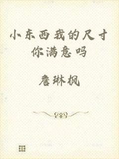 小东西我的尺寸你满意吗