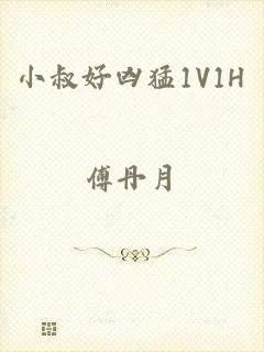 小叔好凶猛1V1H