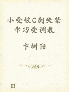小受被C到失禁乖巧受调教