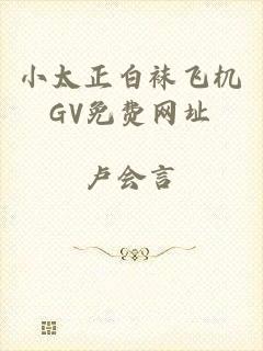 小太正白袜飞机GV免费网址