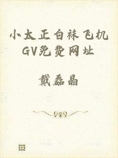小太正白袜飞机GV免费网址