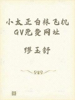 小太正白袜飞机GV免费网址