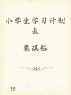 小学生学习计划表