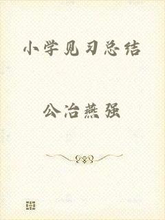 小学见习总结