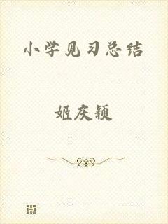 小学见习总结