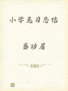 小学见习总结