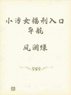 小污女福利入口导航