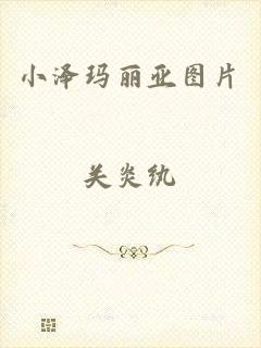 小泽玛丽亚图片