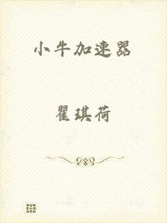 小牛加速器