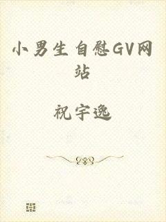 小男生自慰GV网站