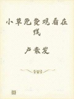 小草免费观看在线
