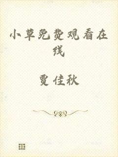 小草免费观看在线