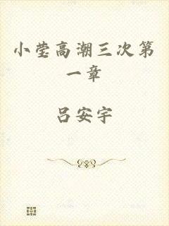 小莹高潮三次第一章