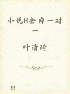 小说H全肉一对一