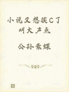 小说又想挨C了叫大声点